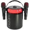 Image de Ibiza Sound KARAHOME - Haut-parleur - pour utilisation mobile - sans fil - Bluetooth - 120 watt - noir