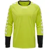 Image de T-shirt hummel  T-shirt  Essential GK Jersey P31094941