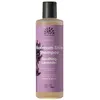 Image de Shampoing Doux Lavande Apaisante Soothing Lavender - Brillance Maximale