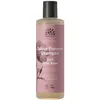Image de Shampoing Doux Ã La Rose Sauvage - Cheveux ColorÃ©s