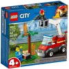 Image de LEGO City - L'extinction du barbecue - 60212