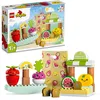 Image de LEGO DUPLO - Le marchÃ© bio - 10983