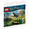 Image de LEGO Harry Potter - L'entraÃ®nement de Quidditch (Polybag) - 30651