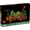 Image de LEGO Botanicals - LEGO Icons - Les plantes miniatures - 10329