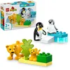 Image de LEGO DUPLO - Familles d'animaux sauvages : pingouins et lions - 10442