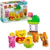 Image de LEGO DUPLO - L'Anniversaire de Winnie l'Ourson - 10457