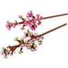 Image de Lego Cherry Blossoms 40725 Les fleurs de cerisier