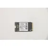 Image de Lenovo 5SS0V42253 disque SSD 256 Go M.2 PCI Express