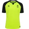 Image de Maillot Real Betis Seville 1914 Legacy 2024/25 Jaune L 226826-5998