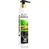 Image de Delia Cosmetics Cameleo Bb shampooing à la kératine pour cheveux abîmés 250 ml