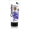 Image de Delia Cosmetics Cameleo Après-shampooing argenté pour cheveux blonds et gris neutralisant les tons jaunes 200 ml