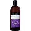 Image de Shampooings Ziaja  Shampoing Lavande Pour Cheveux Gras P23965445