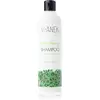 Image de Vianek Shampooing Normalisant 300 ml