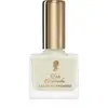 Image de Pani Walewska Vernis à ongles et couleur à séchage rapide n° 20 White Pearl 9 ml