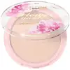 Image de Eveline Cosmetics Poudre Illuminatrice Jardin de Fleurs 8 G