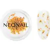 Image de NEONAIL Fleurs séchées pour ongles couleur orange