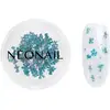Image de NEONAIL Fleurs séchées pour ongles couleur 05 Turquoise