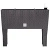 Image de Prosperplast Rato Case High Can Drtc600h 440u Umbra Pot Ã Fleurs, BoÃ®te Ã Fleurs Avec Pieds Stables, Accessoire Original