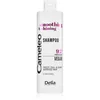 Image de Delia Cosmetics Cameleo Shampoing lissant pour cheveux indisciplinés et crépus 400 ml