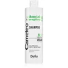 Image de Delia Cosmetics Cameleo shampooing volumateur fortifiant pour cheveux délicats 400 ml