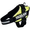 Image de Harnais Jaune Julius K9 Pour Chien L