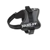 Image de Harnais Pour Chien - Julius-K9 - K9-Powergeschirr - Taille Mini - Couleur Anthracite - Patchs Interchangeables
