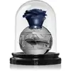 Image de Lattafa Fierté Thouq EDP U 80 ml