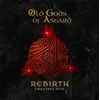 Image de Rebirth - Greatest Hits - Vinyle 33 Tours