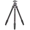 Image de BENRO Trepied Photo Carbone Tortoise 14C+GX25 - TTOR14CGX25