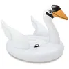 Image de Cygne Gonflable Xl