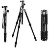Image de Fotopro - TrÃ©pied Monopode Traveler 5 sections Aluminium - C40i avec rotule panoramique 53P - Noir