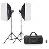 Image de Flash Godox MS300V-F Kit 2 Studio Flash