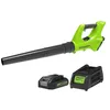 Image de Greenworks souffleur axial Ã©lectrique g24abk2 - 24 v - 1 batterie + 1 chargeur - vert