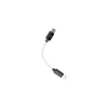 Image de Shanling L3 USB C vers Lightning - Câble USB-C vers Lightning de 11,5 cm