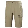 Image de Short Helly Hansen HH Quick Dry Cargo 11 (Fallen Rock) homme