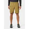 Image de Short HELLY HANSEN Vista Hike Cargo Shorts (Lynx) Homme
