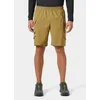 Image de Short HELLY HANSEN Vista Hike Cargo Shorts (Lynx) Homme