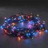Image de Micro-Guirlande Led Multicolore 180 Lampes