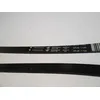 Image de Courroie 5pje1195 5pje 1195 A00223101 Lave Linge Electrolux Faure Arthur Martin Aeg Zanussi Listo
