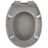 Image de Abattant Wc Thermo Dur Neela Taupe Mat - CharniÃ¨res Abs ChromÃ©