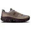 Image de On - Chaussures de randonnée journée - Cloudrock Low WP W Cinder/Ox pour Femme - Taille 38.5 - Beige