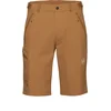 Image de Mammut - Short stretch respirant séchage rapide - Runbold IV Shorts Men Claystone pour Homme - Taille S - Beige