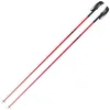 Image de Bâtons de ski Faction (Cabernet)