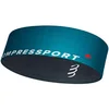 Image de Accessoire sport Compressport  Free Belt P32325010