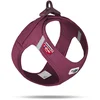 Image de Harnais Pour Chien Curli Air-Mesh