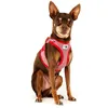 Image de Harnais Pour Chien Curli Merino