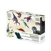 Image de Coffret de 21 magnets dinosaures