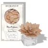 Image de Fleur parfumée camélia blanc
