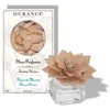 Image de Fleur parfumée fleur de monoï
