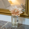 Image de Grande fleur parfumée fleur de coton